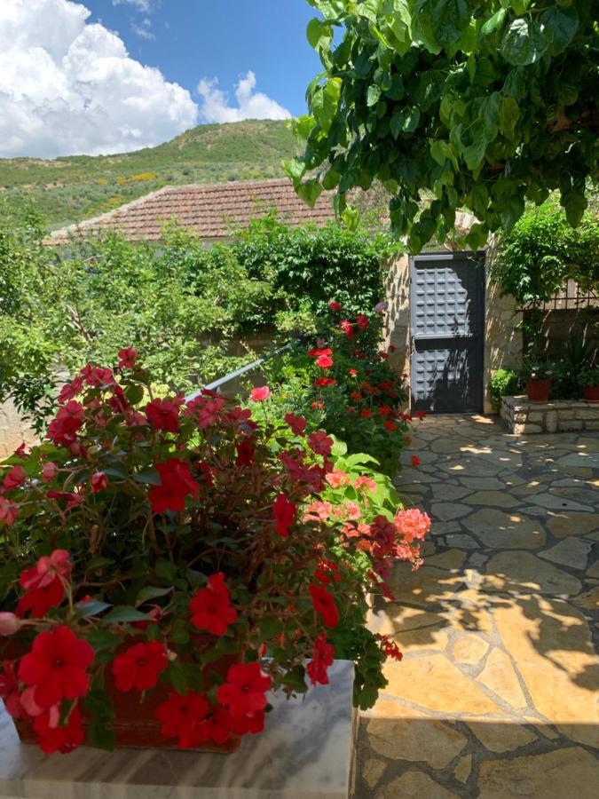 Vjosa Guest House Memaliaj Exterior photo