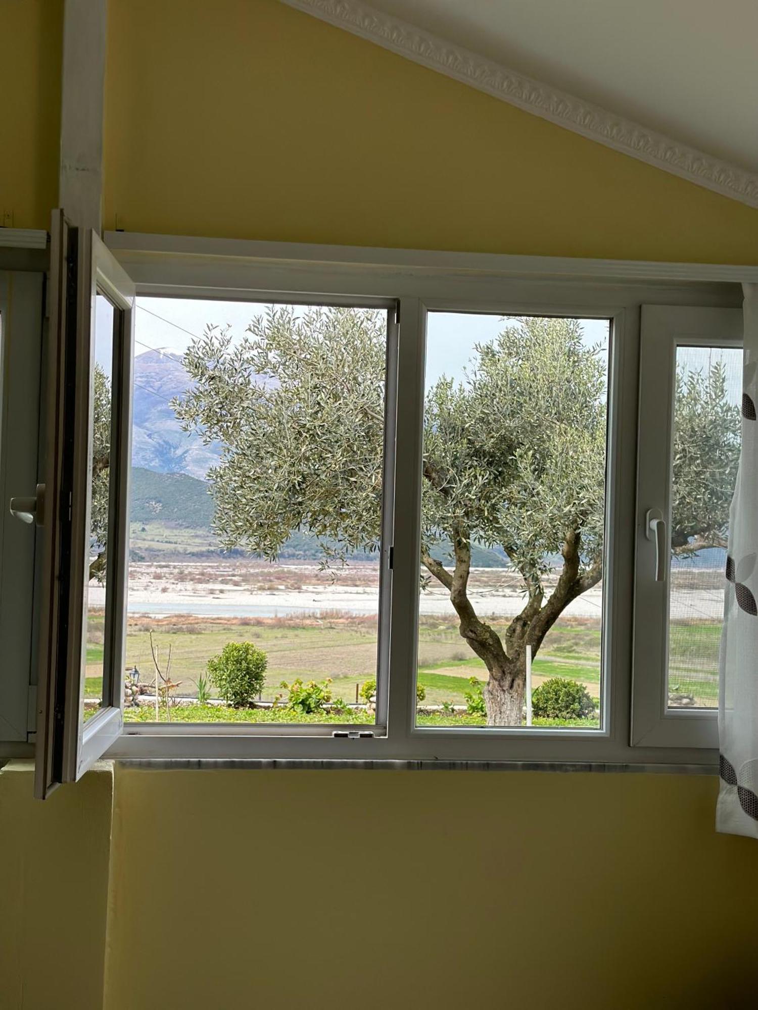 Vjosa Guest House Memaliaj Exterior photo